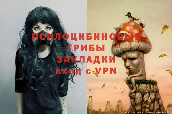 бутират Алексин