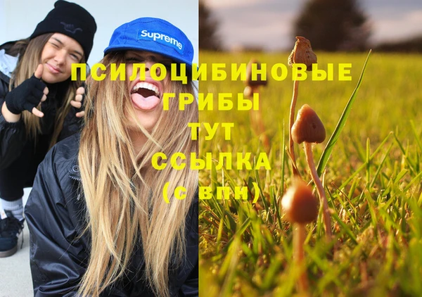 бутират Алексин
