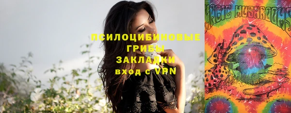 ПСИЛОЦИБИНОВЫЕ ГРИБЫ Костерёво
